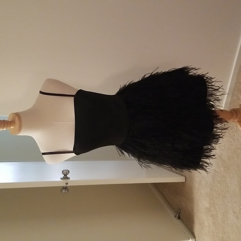 Bebe x Naven feather dress